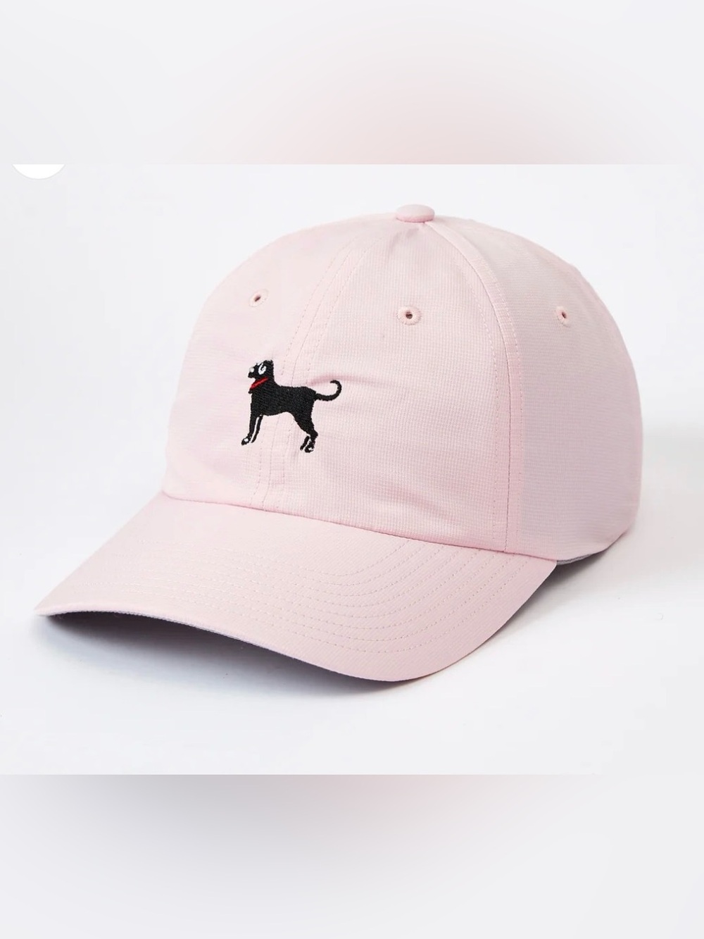 The Black Dog Women’s Baseball Cap